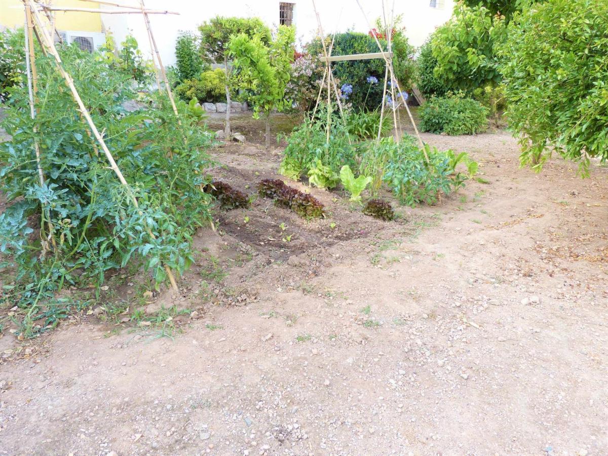 Villa Hort De La Cinteta Alcover Exterior foto